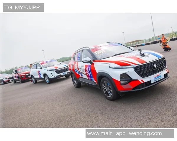 pg问鼎-问鼎顶峰，揭示PG力量-pg问鼎